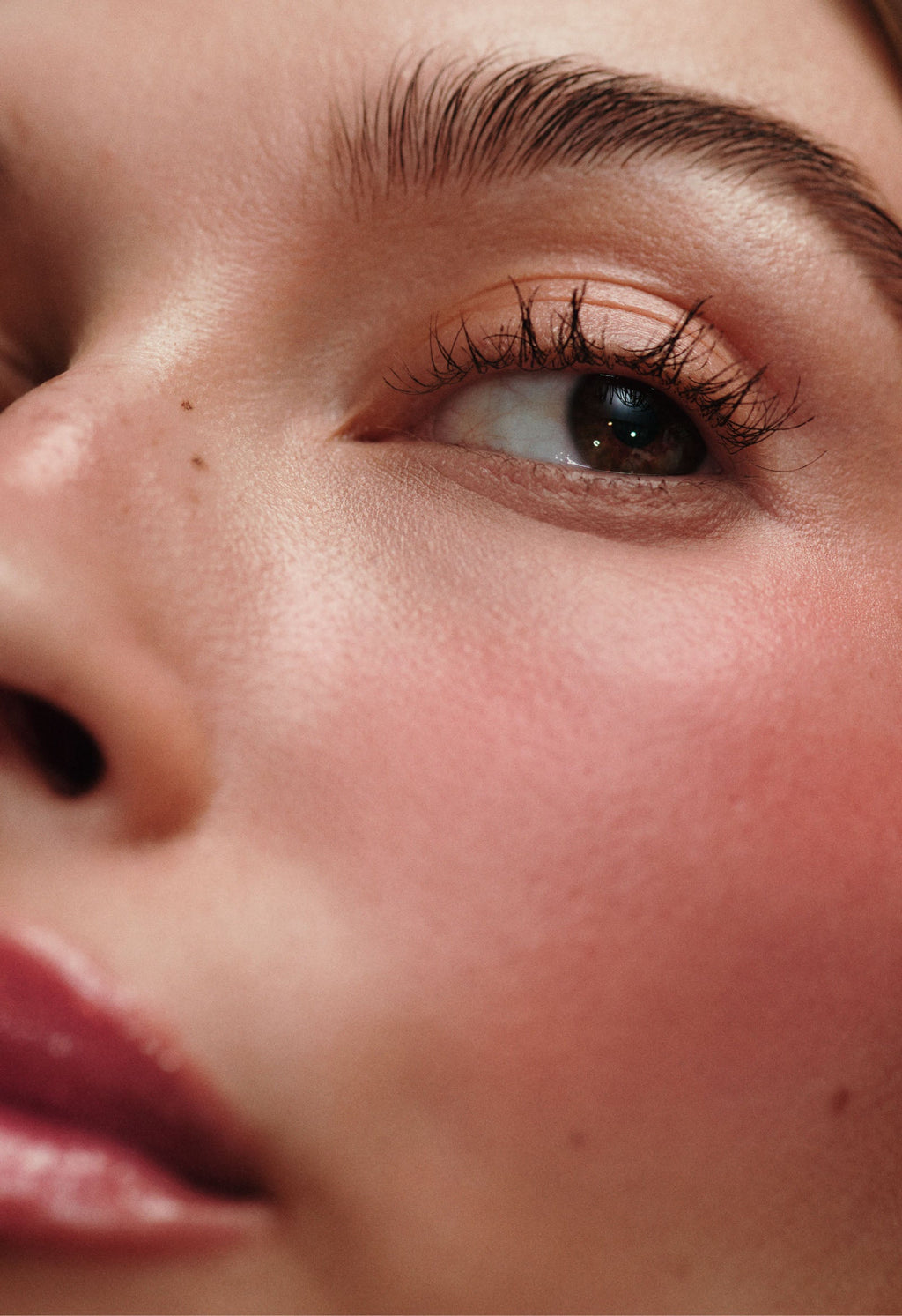 Pocket Blush Freckle